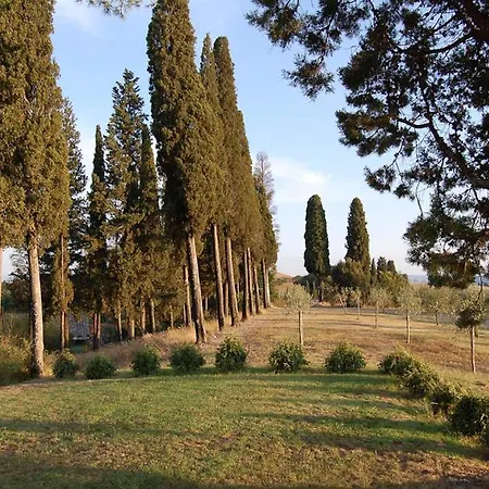 Sleeps 14 With Pool And Wifi Sovignano